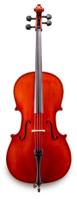 Eastman Strings Model 100 Fully-Carved Upgraded Student Cello Outfit