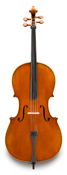 Eastman Strings Pietro Lombardi Model 502- Advanced Cello