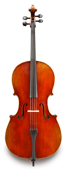 Eastman Strings Model 605- Master Series- Advanced Cello